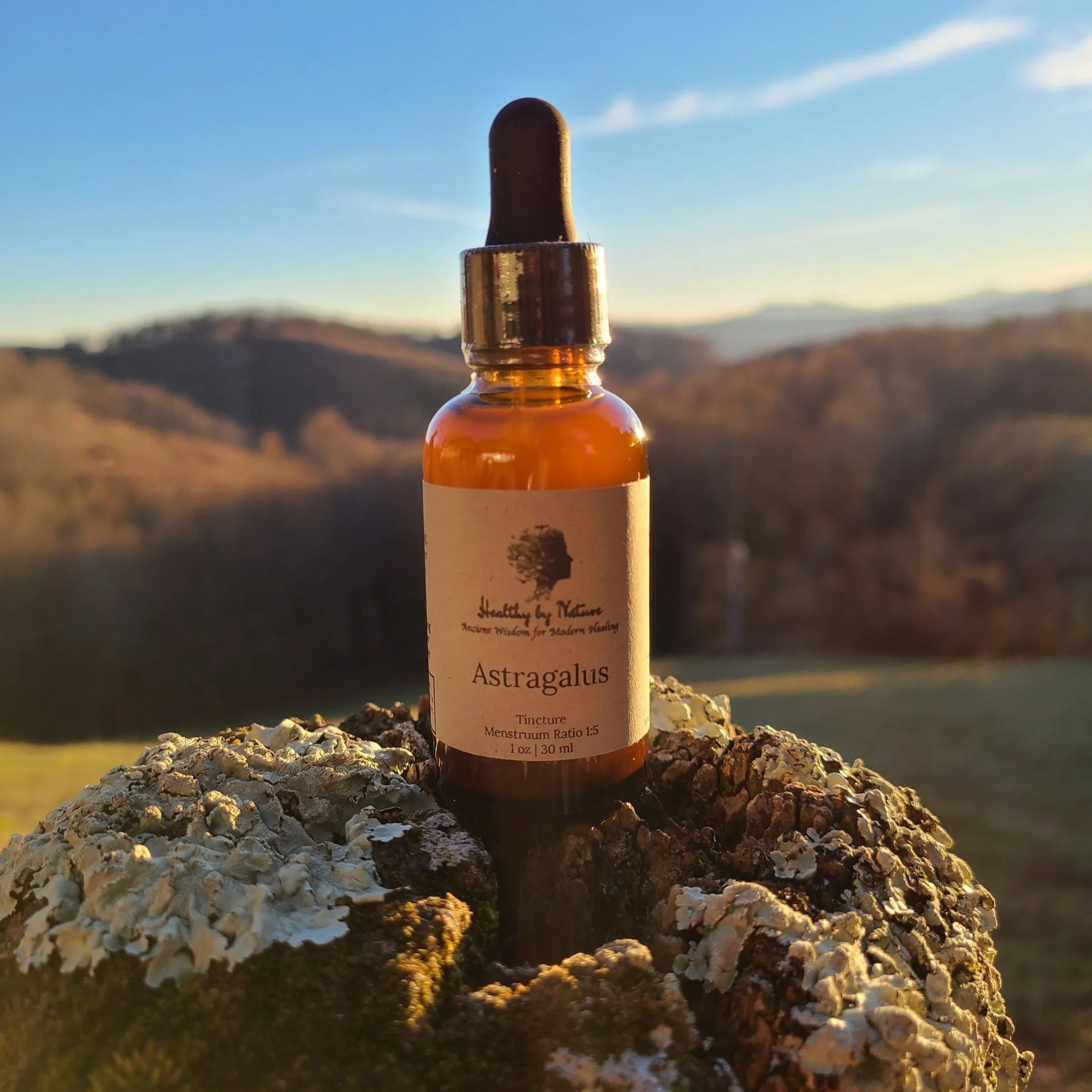 Astragalus secondary product photo