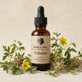 Tribulus tincture bottle with kraft paper label, yellow flowers, and fruit